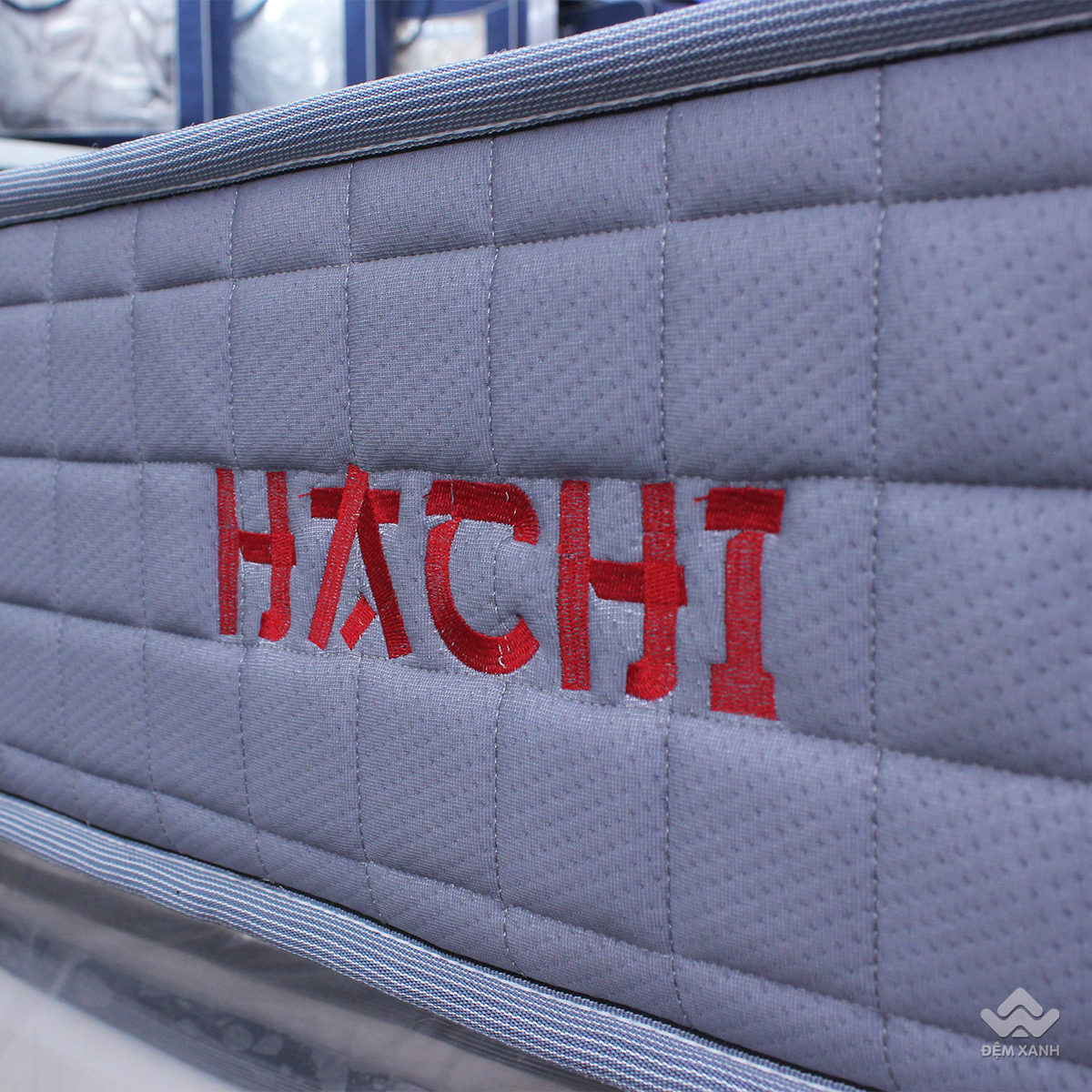 hachi x&aacute;m