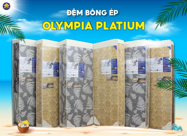 Đại lý đệm bông ép Olympia tại Quảng Ninh