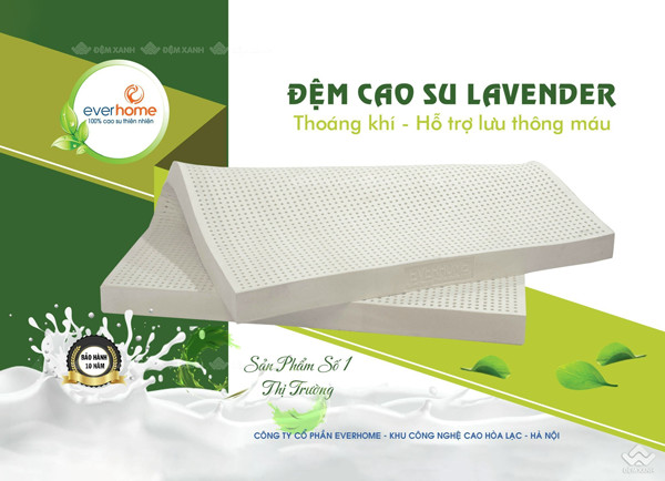 Đại lý  đệm cao su Everhome tại Quảng Ninh