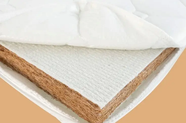 Đệm xơ dừa là gì? Có nên mua đệm xơ dừa không?