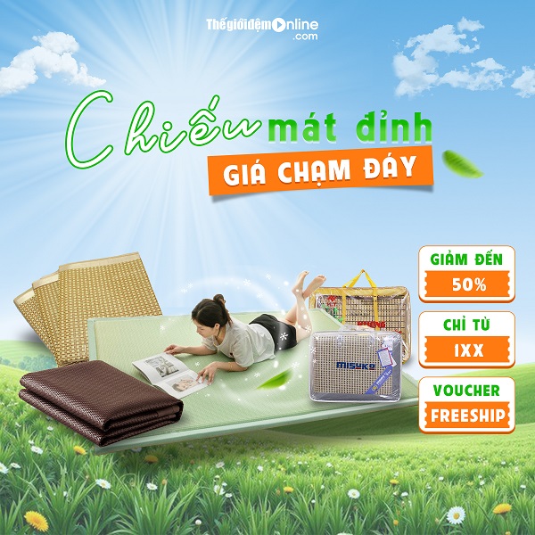 CHIẾU MÁT ĐỈNH - GIÁ CHẠM ĐÁY: Sale upto 50%, chỉ từ 1xx