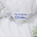 Ruột chăn Olympia xuất khẩu Micro Fiber#7