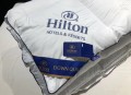 Ruột chăn lông vũ Hilton màu trắng#10