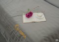 Chăn ga gối khách sạn Olympia cotton lụa 7 món OCL7M02 màu ghi #19