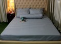 Chăn ga gối khách sạn Olympia cotton lụa 7 món OCL7M02 màu ghi #1