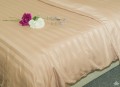 Chăn ga gối khách sạn Olympia cotton lụa 7 món OCL7M03 màu be#16