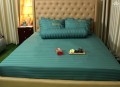 Chăn ga gối khách sạn Olympia cotton lụa 7 món OCL7M06 màu xanh lá#1