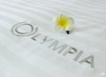 Chăn ga gối khách sạn Olympia cotton lụa 7 món OCL7M08 màu trắng#8