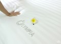 Chăn ga gối khách sạn Olympia cotton lụa 7 món OCL7M08 màu trắng#5