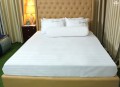 Chăn ga gối khách sạn Olympia cotton lụa 7 món OCL7M08 màu trắng#3