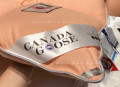 Ruột chăn lông vũ Canada Goose màu cam nhạt#6