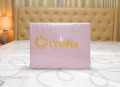 Chăn ga gối khách sạn Olympia  lụa thêu 5 món màu hồng phấn#27