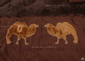 Chăn lông lạc đà Tây Tạng màu nâu#14