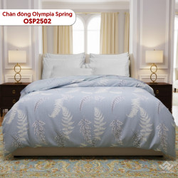 Chăn đông Olympia Spring vải cotton sợi mát OSP2502