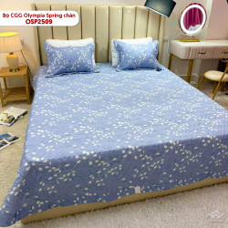 Bộ chăn ga gối Olympia Spring chần OSP2509