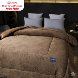 Chăn lông cừu xuất khẩu Olympia vân quạt màu nâu