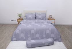 Bộ drap mền Sông Hồng Basic Cotton BC25115