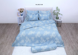Bộ drap mền Sông Hồng Basic Cotton BC25109
