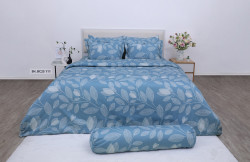 Bộ drap mền Sông Hồng Basic Cotton BC25111