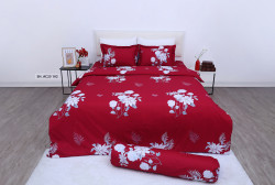 Bộ drap mền Sông Hồng Basic Cotton BC25112