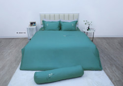 Bộ drap mền Sông Hồng Basic Cotton BC25118