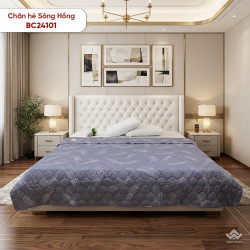 Chăn hè  Sông Hồng basic cotton BC24101