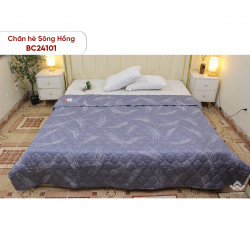 Chăn hè  Sông Hồng basic cotton BC24101