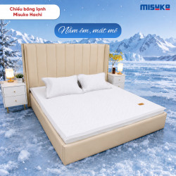 Chiếu điều hòa băng lạnh Misuko Hachi