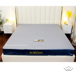 Áo bọc  ĐỆM LÒ XO HOẶC CAO SU NGUYÊN TẤM DÀY 20CM - KẾT CẤU MỚI