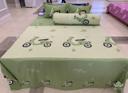 Vỏ gối ôm Sông Hồng Basic cotton BC20011
