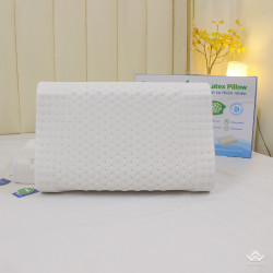 Gối cao su Olympia Contour Massage 3 vùng 40x60cm