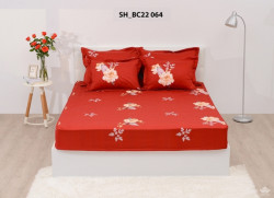  Ga gối Sông Hồng Basic cotton BC22064