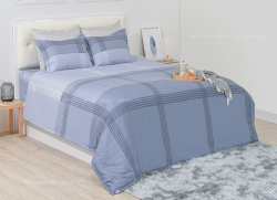 Chăn đông Sông Hồng Basic cotton BC23071