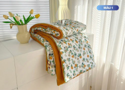 Chăn hè đũi xơ đậu nành 200x230cm (nhiều màu)