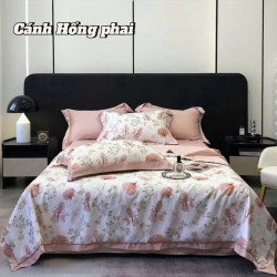 Bộ chăn ga gối lụa Thái LT2501 