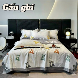 Bộ chăn ga gối lụa Thái LT2502