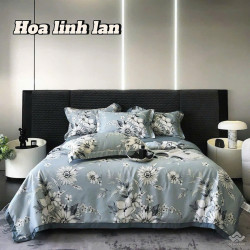 Bộ chăn ga gối lụa Thái LT2507