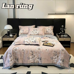 Bộ chăn ga gối lụa Thái LT2509