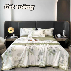 Bộ chăn ga gối lụa Thái LT2513