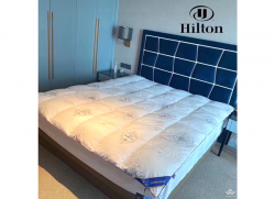 Ruột chăn lông vũ Hilton 