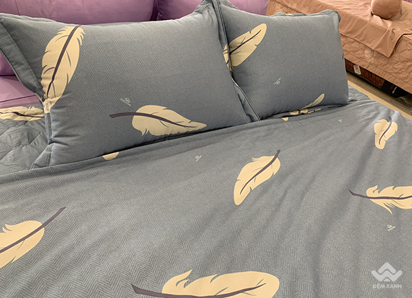 Vỏ gối đầu Sông Hồng Basic cotton BC20004 1