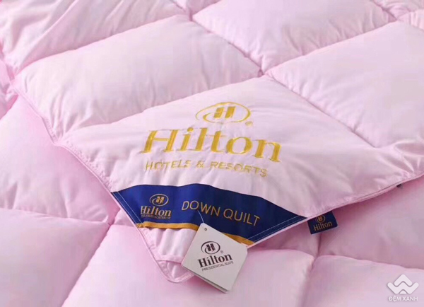 Ruột chăn lông vũ Hilton màu hồng