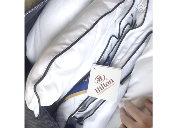 Ruột chăn lông vũ Hilton màu trắng