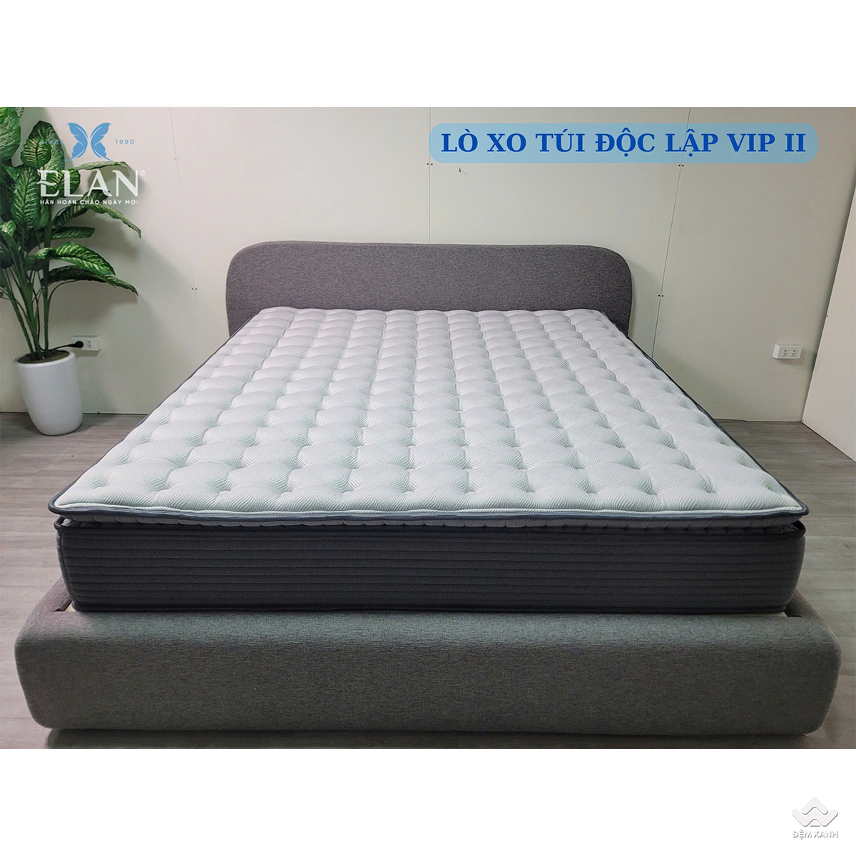 Đệm Lò Xo Túi độc lập Vip2 Elan 2