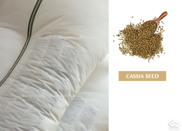 Ruột gối Olympia Cassia massage chống ngáy