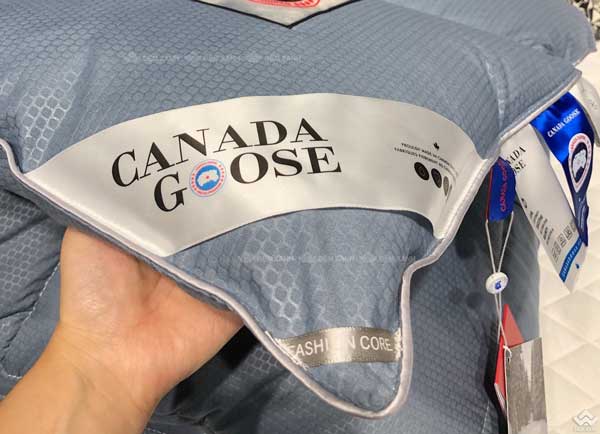 Ruột chăn lông vũ Canada Goose màu xanh biển
