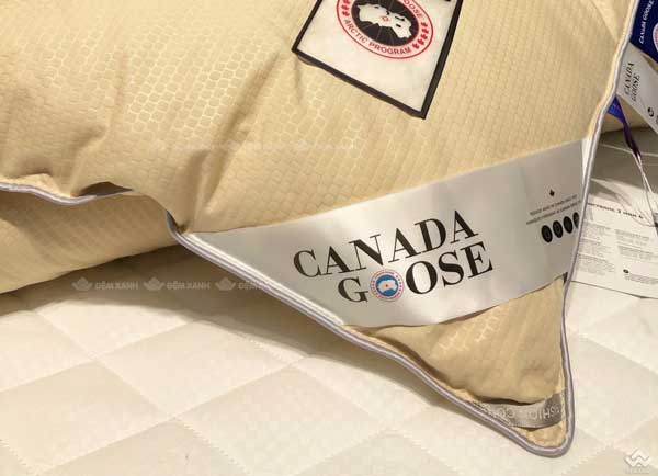 Ruột chăn lông vũ Canada Goose màu be