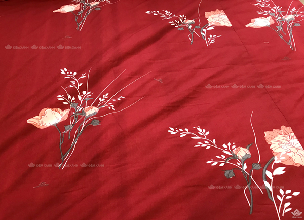 Ga gối Sông Hồng basic TC BT22055 12