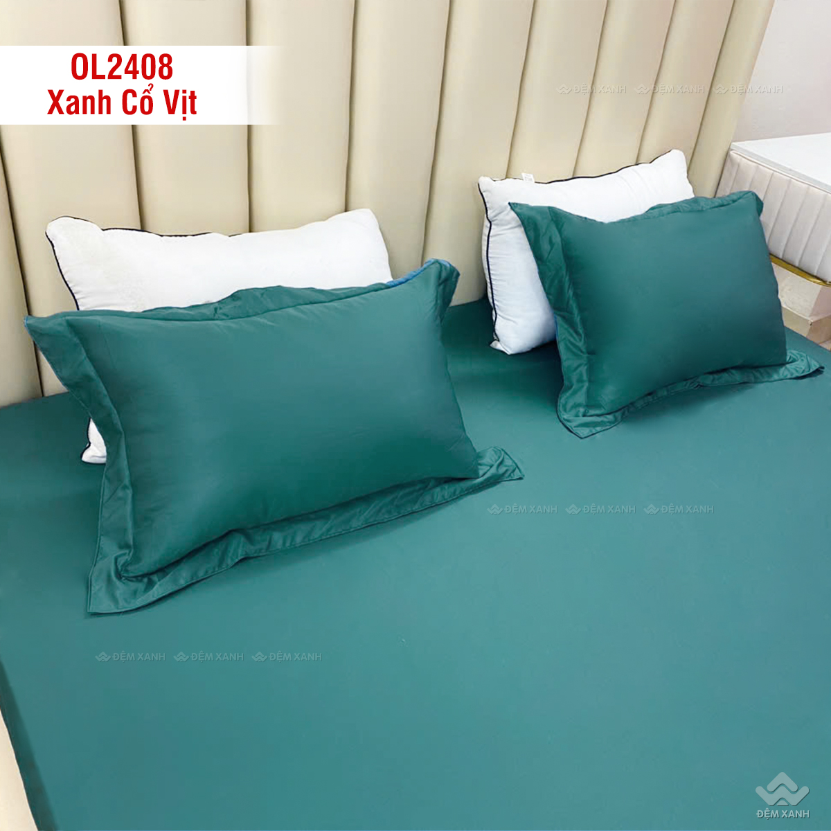 Ga gối chun Olympia Lucas OL2408 màu Xanh Aqua 1